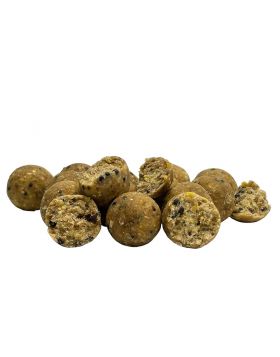 Kulki Zanętowe Focus 18mm Kokos & Orzech 5kg WIADRO